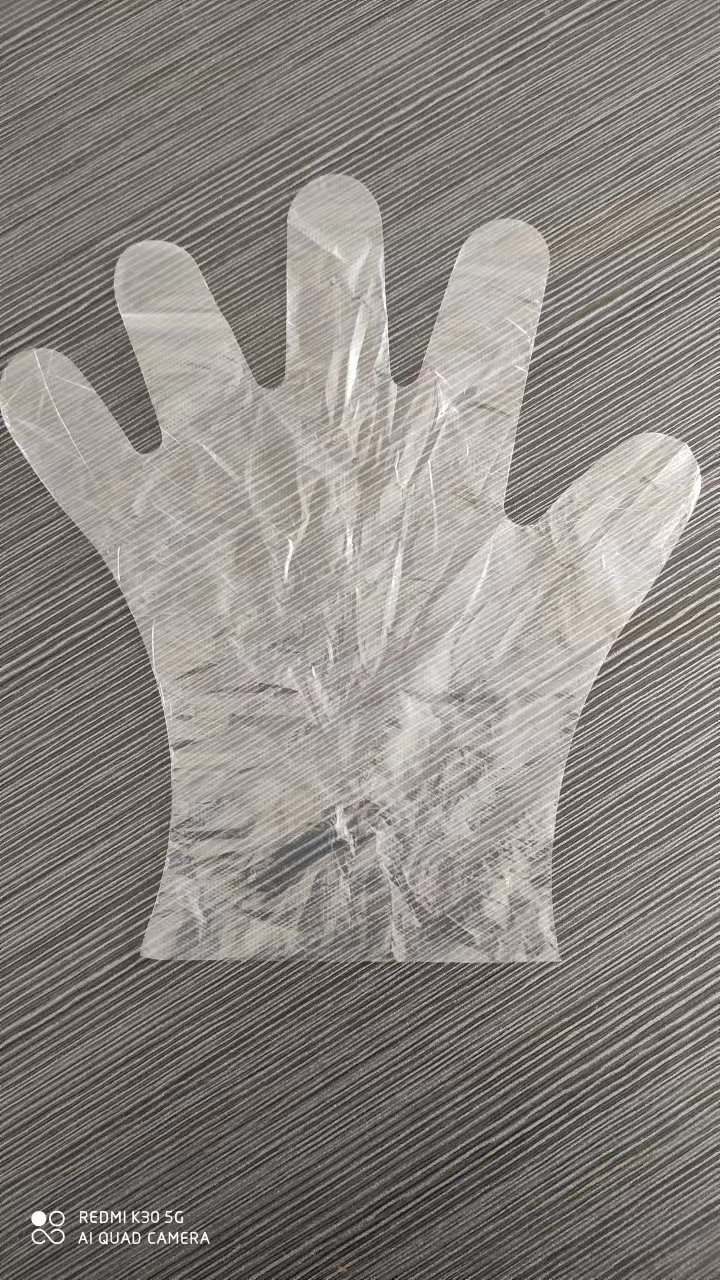LDPE Disposable Gloves - Image 2